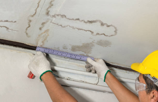 Reliable Flood Cleanup contractor in Springfield, NJ by Water Damage Irwin